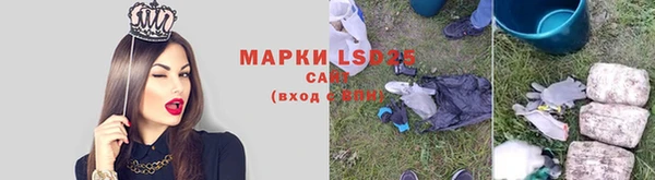 дмт Дмитров