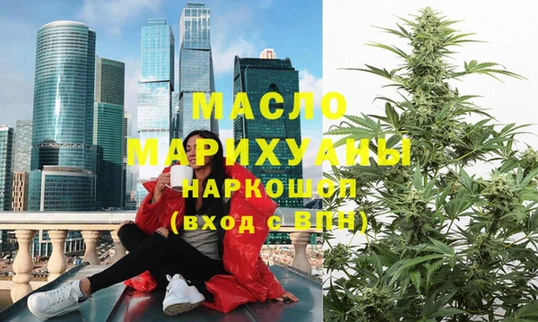 дмт Дмитров