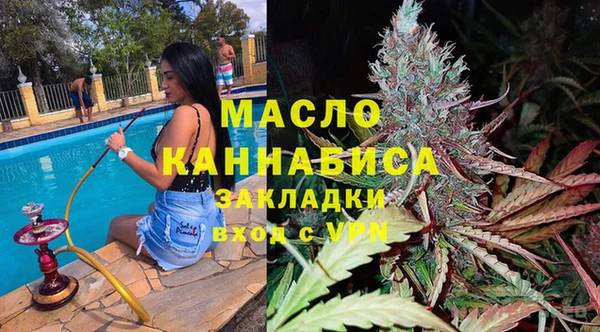 дмт Дмитров