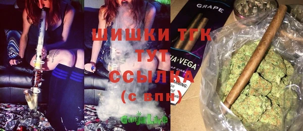 дмт Дмитров