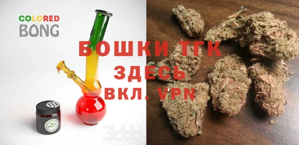 дмт Дмитров