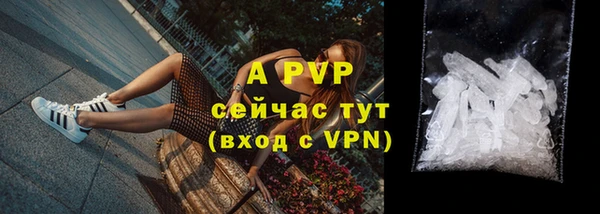 дмт Дмитров