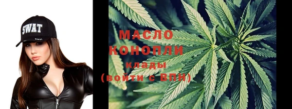 дмт Дмитров
